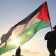 Image for article titled As Palestine Suffers, A Call For Action